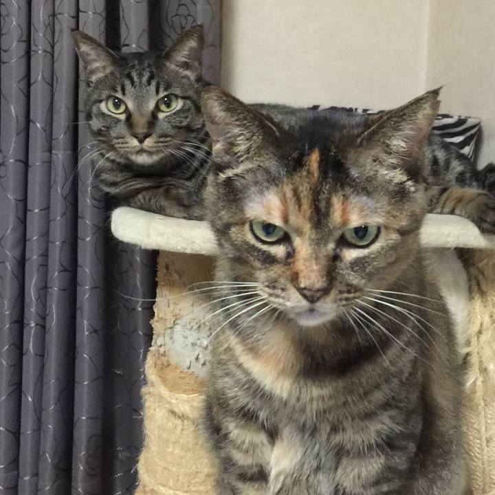 23be2b84 fed6 40ac 9b96 db0d44cba97b