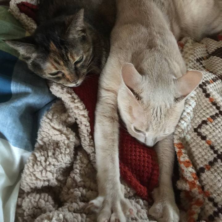 23be3efc 2f36 4531 ac6c 79f73ddaf14e