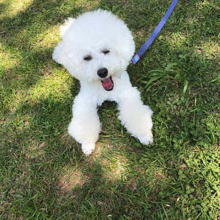 23bf29e1 098a 4067 b97f 3660d7637793