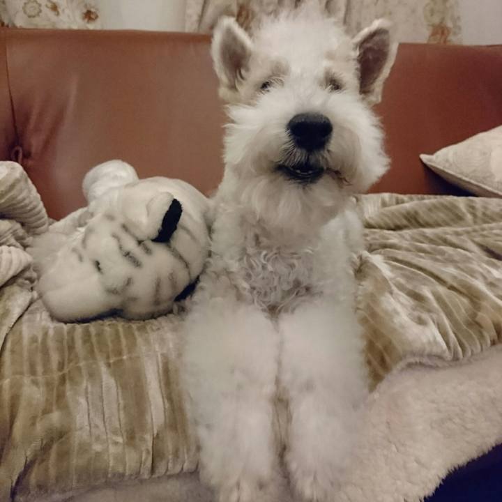 23bfc304 d425 48c8 af41 8835e88fcbe0