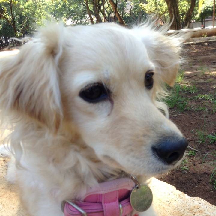 23c01a48 27c4 4551 947c 6c6db570bf46