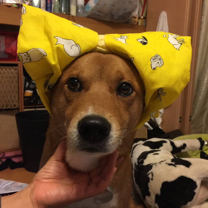 23c02c6d 6c36 4d47 998c 020ff7818b0c