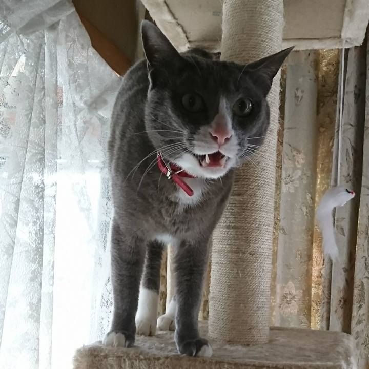 23c1ffa4 cde5 468d 9958 fd7c97fcb9ec