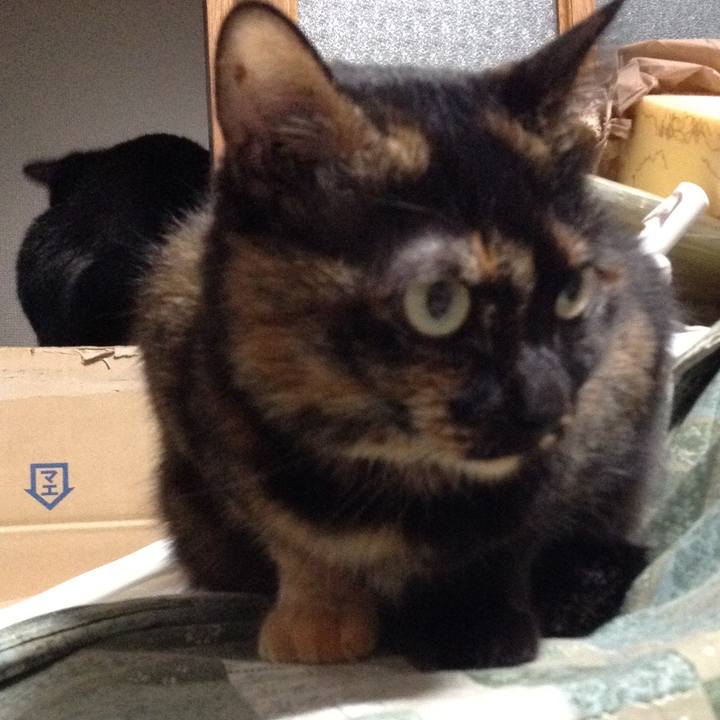 23c2270c 2be3 45fe b263 d449d5ac9997