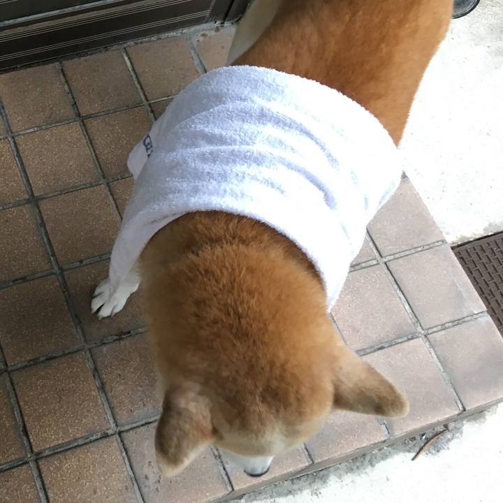 23c2382e 510f 40aa 88bc ff1a55e1e005