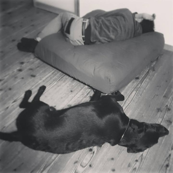 23c2b50f 4cb7 43e8 894f 9e7d94796908