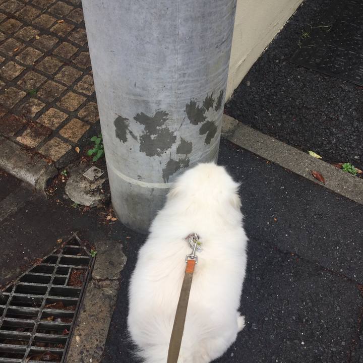 23c34dc2 b0d7 4561 a134 1116e8049f43