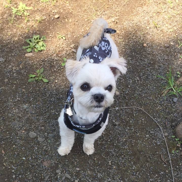 23c3db33 699d 4408 9175 bd14cb8c1d3d