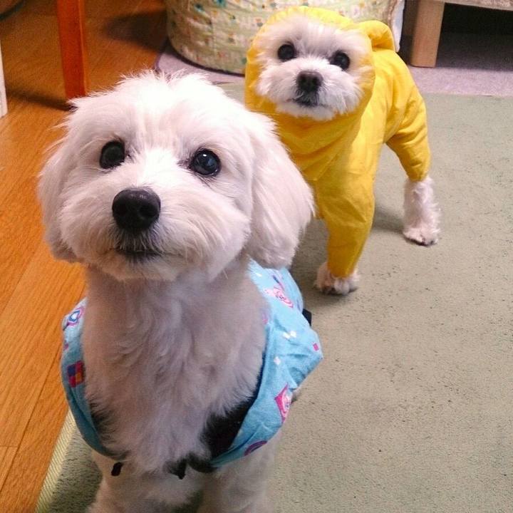 23c40a47 8b65 4f7f a130 13ff30149cea