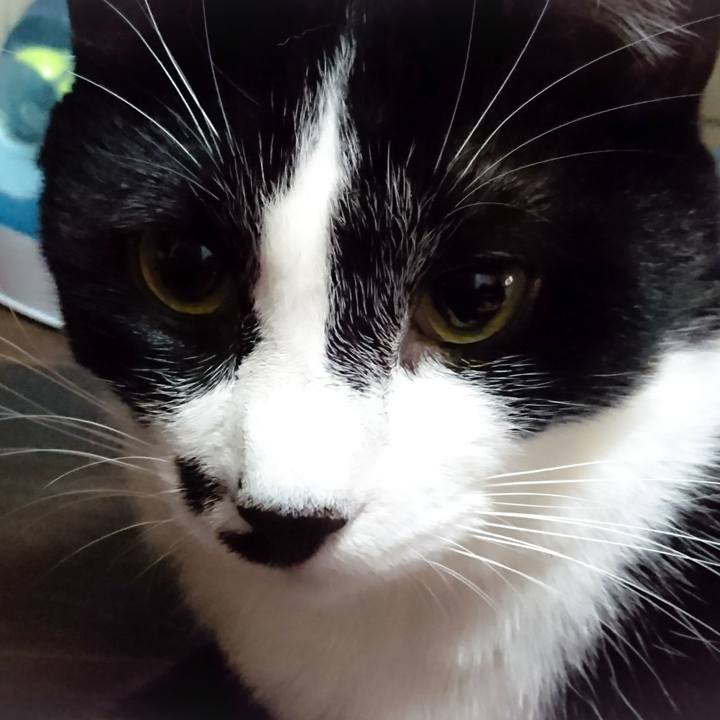 23c41e70 92c5 4ba9 9bbd 6008c9da79b0