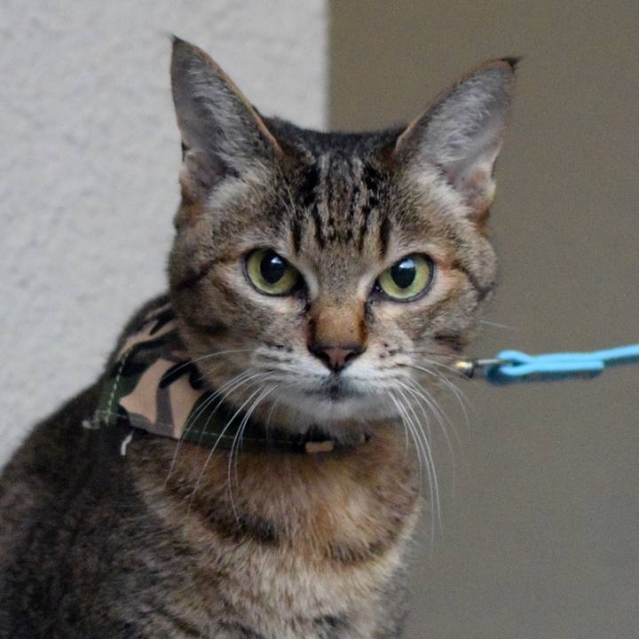 23c44210 ab47 4fca a646 c9ed4d073fc7