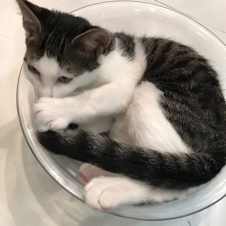 23c4b3aa c168 4898 9847 26a47053b572