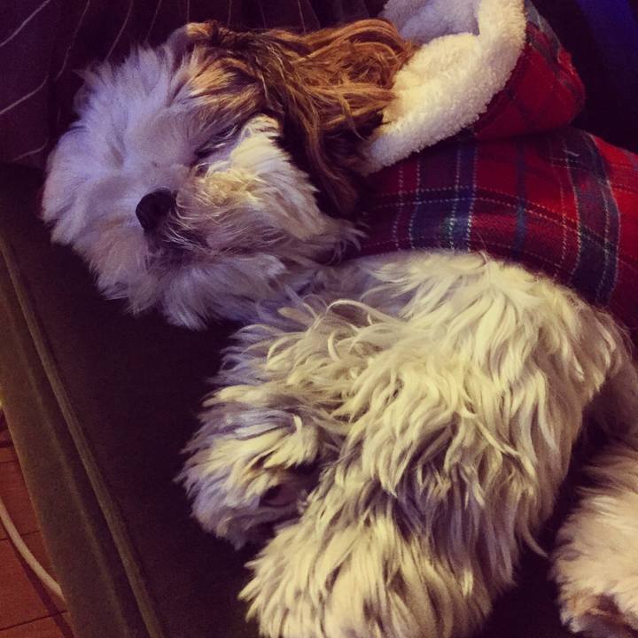 23c5b7f7 6188 49e9 bd33 01f9166a83b8