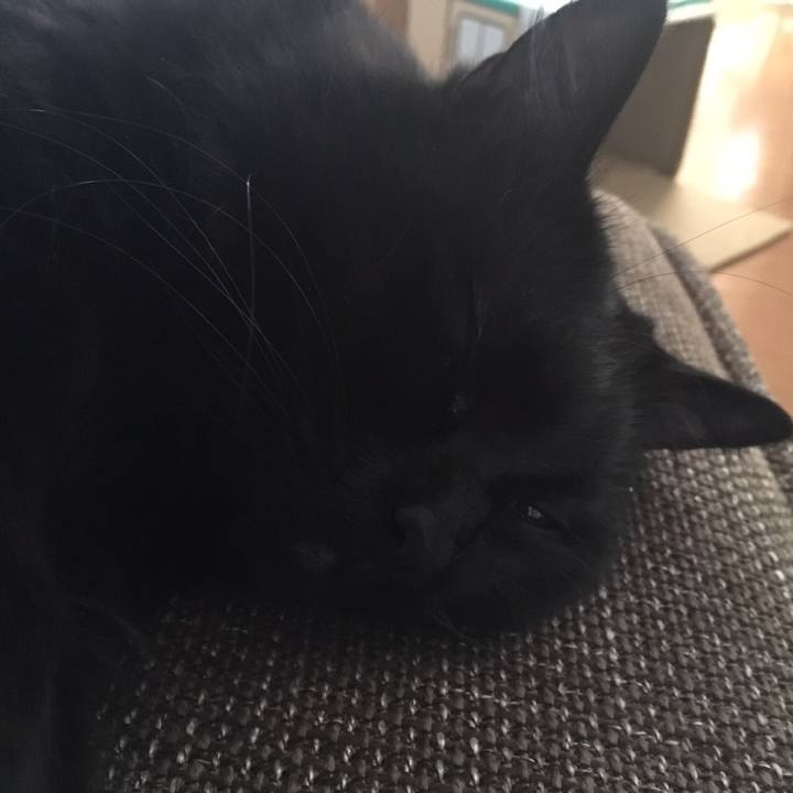 23c642b9 84a5 4e6e 8887 94a8e8f7a2bc