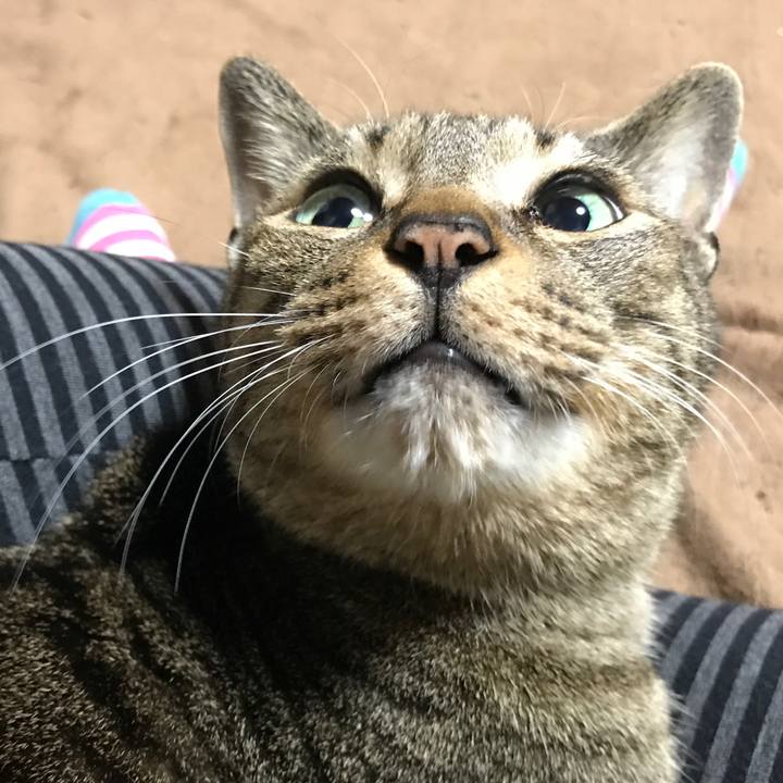 23c662c0 2db3 44fa b159 7574475f513a