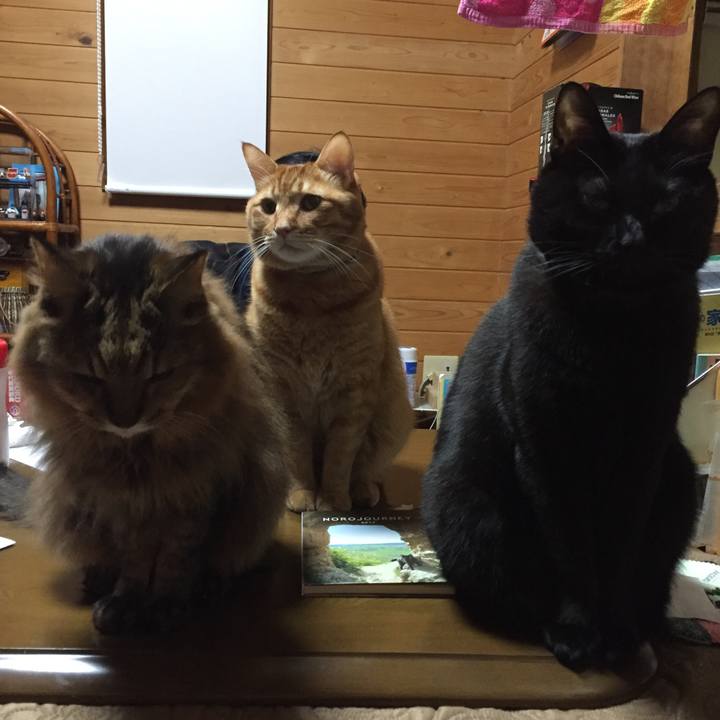 23c689f6 6eb6 421f 9ab4 c445865e8496