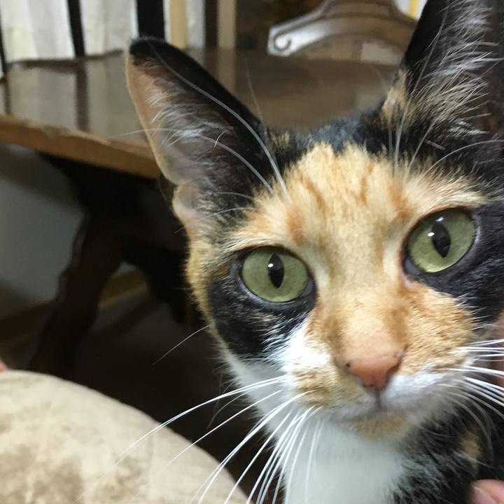 23c6cda0 619d 4c57 a65a 7ddc28ff9a56