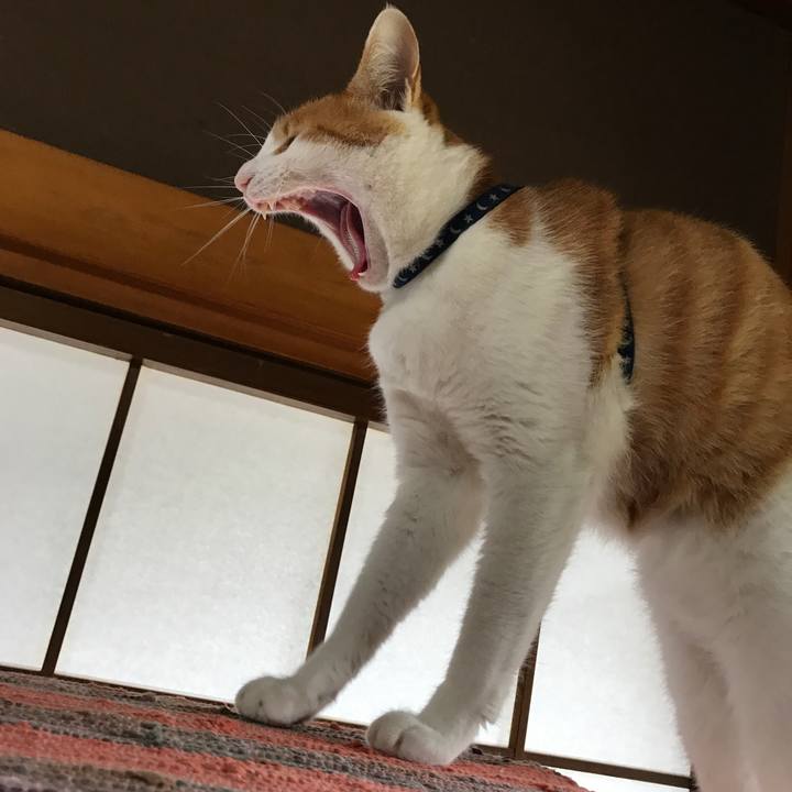 23c734f4 9ab3 4636 959e 1b4bfa162903