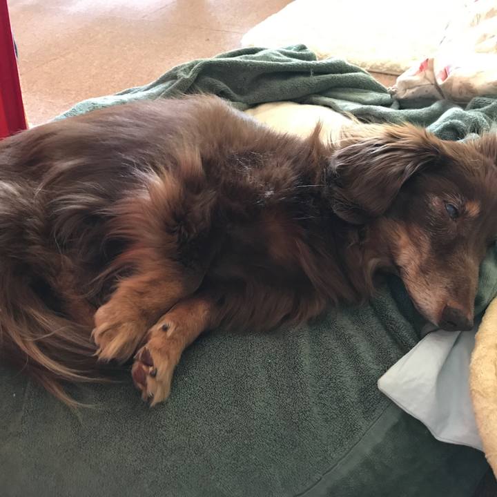 23c7605a 144f 4a46 95ba 3ee01707b82c