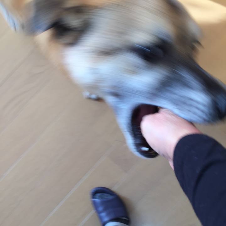 23c79f57 c7f1 4e34 91ef 26e34cb5c422