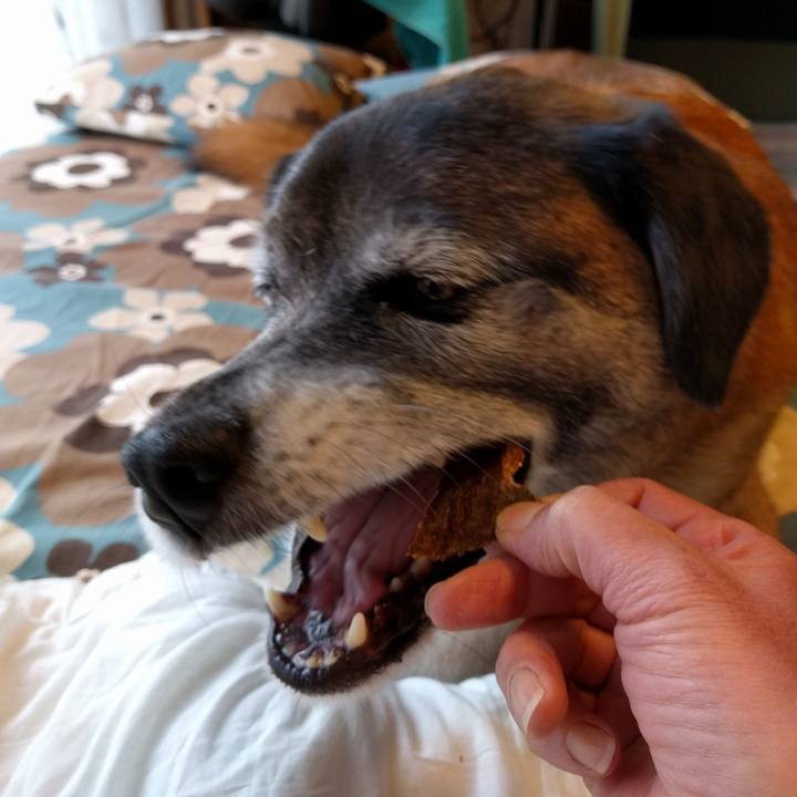 23c81d5a ddcf 43fb a50c 8afaca65729e