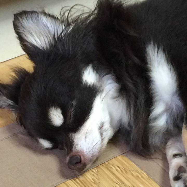 23c897e6 e7d7 4ed5 9f7d d45ed91603ab