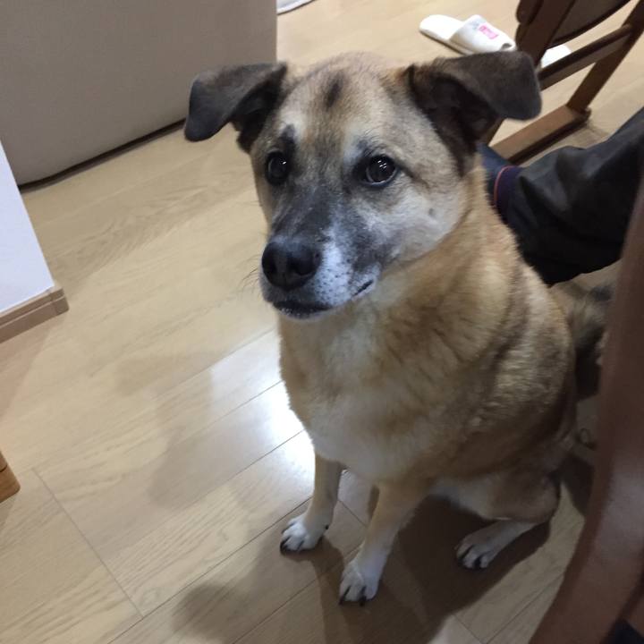 23c94a47 decc 4331 8abb da6aee5e4c28