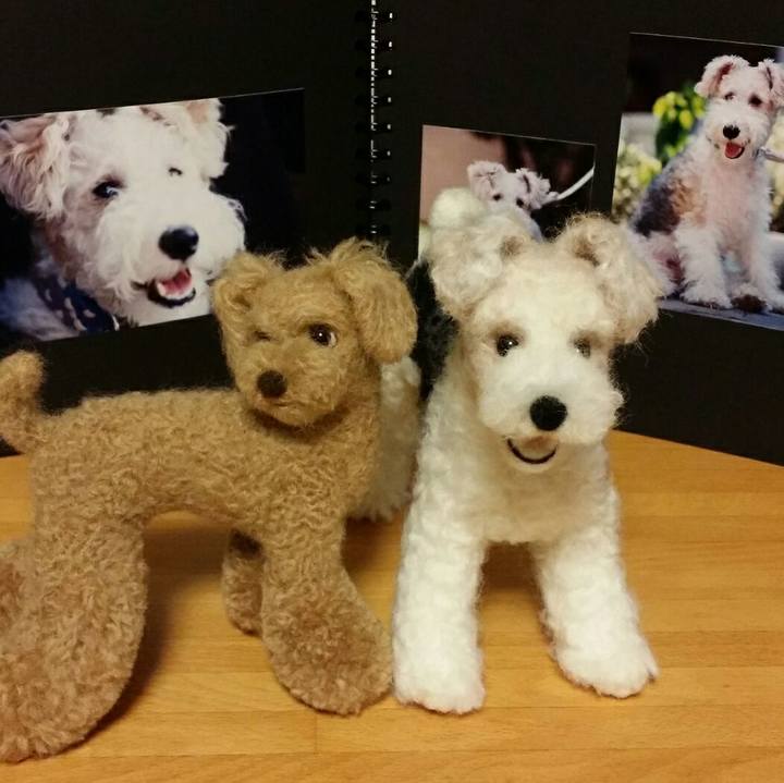 23c96081 5800 4547 9f55 3cb876f2fef9