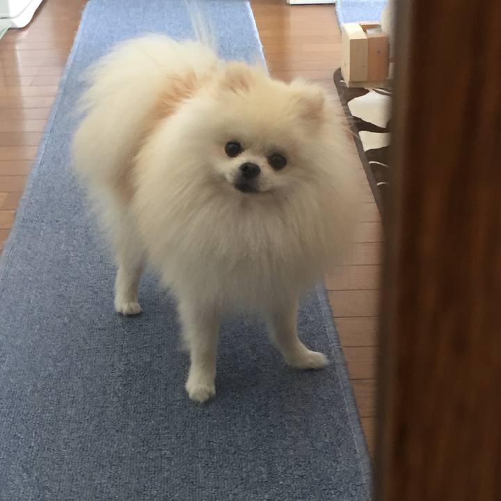 23ca10ed ef98 45e9 a641 a7f320eb8cf4