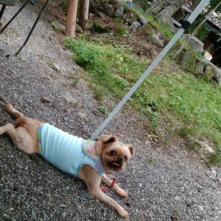 23ca1f15 2eb5 4917 9e09 77573ff7dbbe