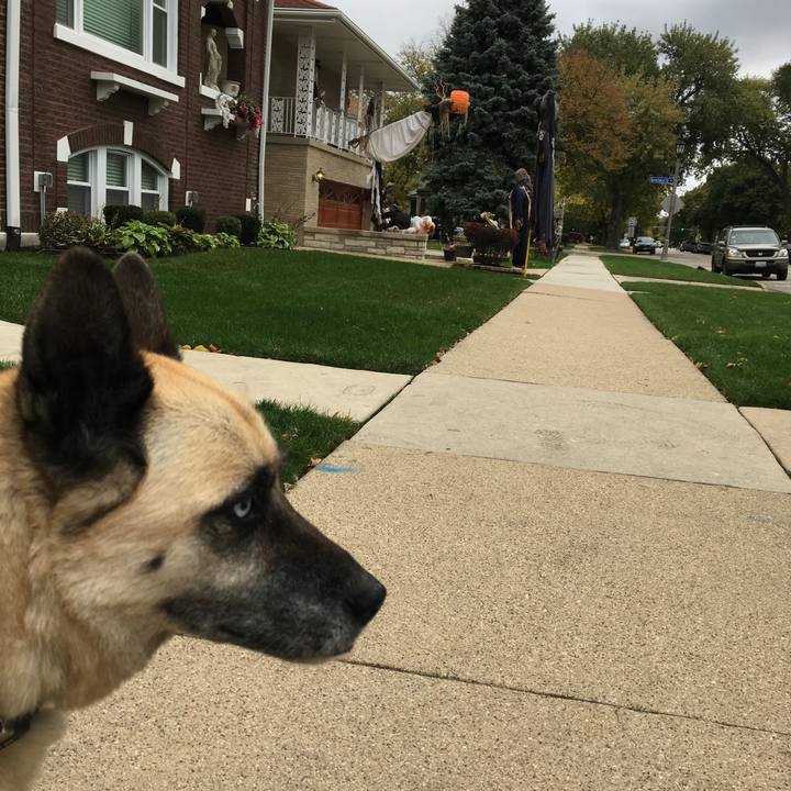 23ca212c dd9d 48e1 a325 ade680088ce2