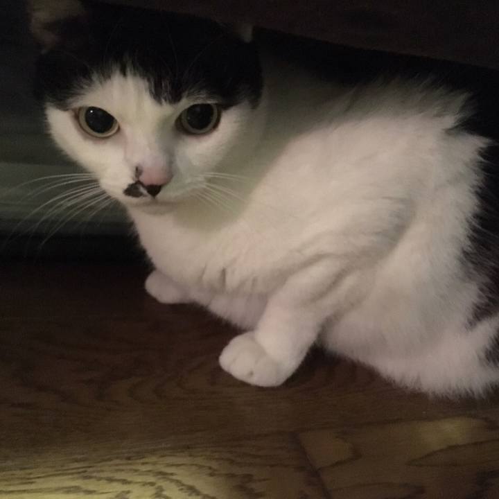 23ca846a 75f1 4aa8 a9ea dc07d3bd65ba