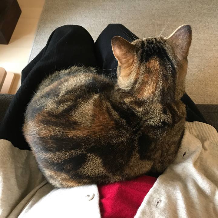 23ca9f6f df37 4efe 8b6f 27ccbc6fa8d1