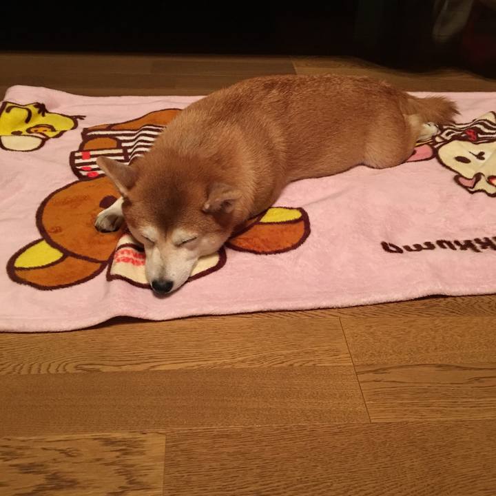 23caa125 e5e3 4a26 964f 0f9161ac9068