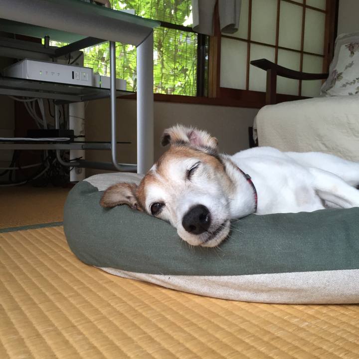 23cb59c9 4476 4f03 a353 5b9a8e76d742