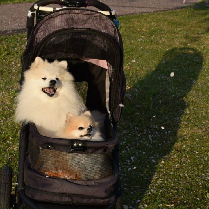 23cb6882 507f 4232 a965 8e62204effdc