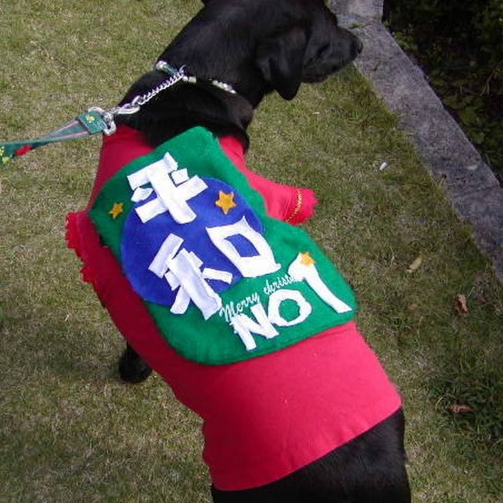 23cca404 1d1d 4ce5 9524 c9f376b077fe