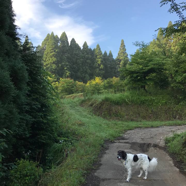 23ccc105 55cb 4332 a12a 13035e2c8b42