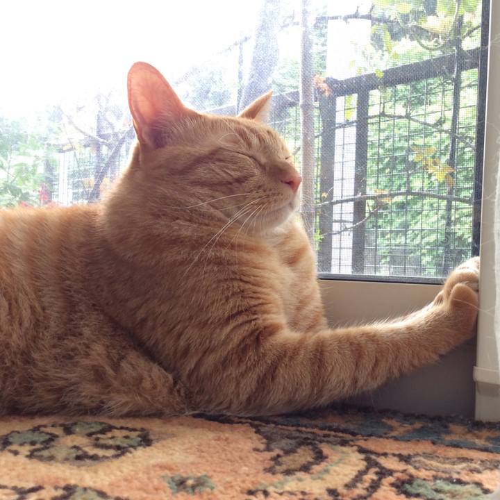 23cd1e82 9f92 4f08 ac9b 02f7277142c4