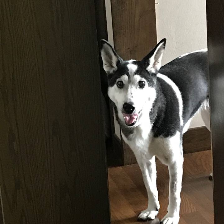 23cd4c30 0d83 41ea a7a3 dda6346079ab