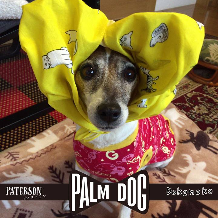 23cdc856 e439 4fe7 8ebf b4c457548866