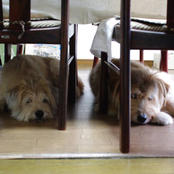 23ce001d 10fb 41fb 8a96 0f0aa6c70eb6