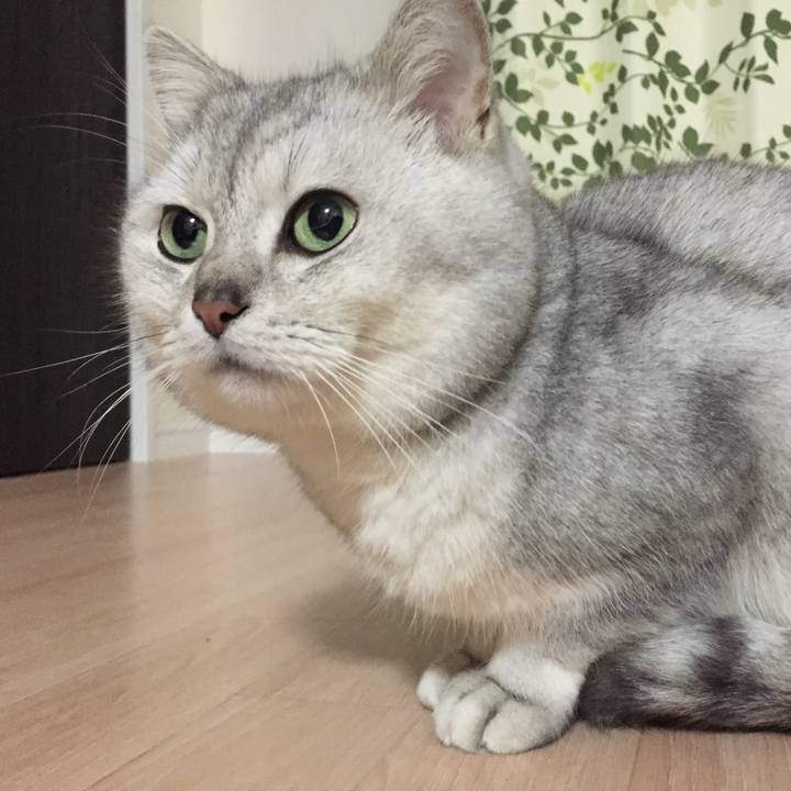 23ce388c 72be 433c b1c4 01036afa9e39