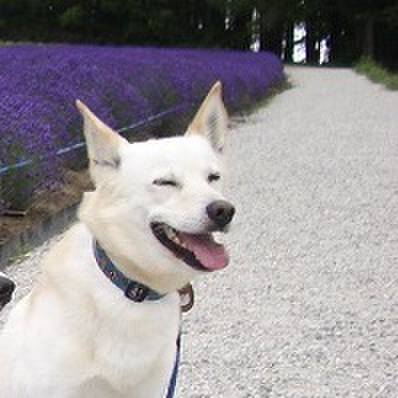 23cf1a6b 8636 4df2 97fd 5d27d5f19b1c