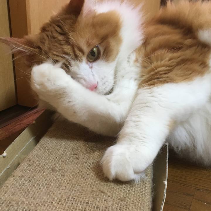 23cfd27e 0f0b 4630 b3d2 0415b6fb398c