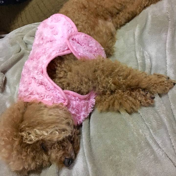 23cfdb2e ce8b 4217 babb 6f3063d969ee