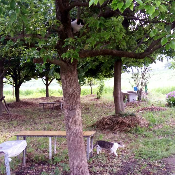 23cfe889 9fdb 4900 bccc 4cf9f286bf86