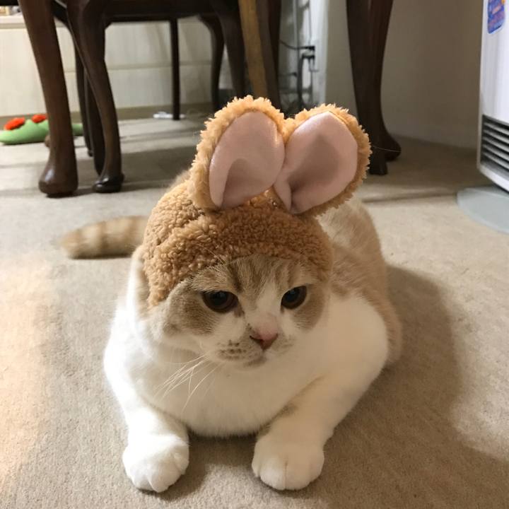 23d008cc bde0 47d0 8bf4 d1b0fd746748