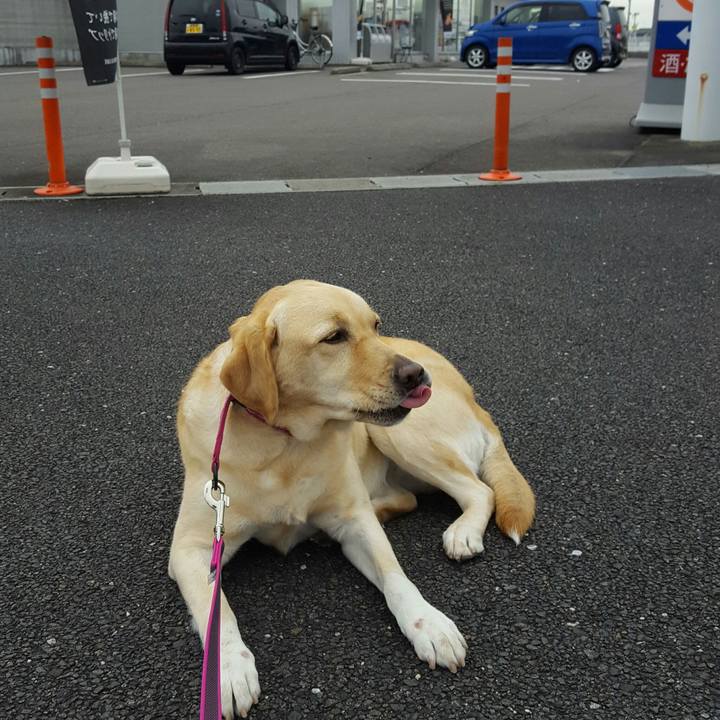 23d04870 ece6 49fc acf4 bff03d6f3da1