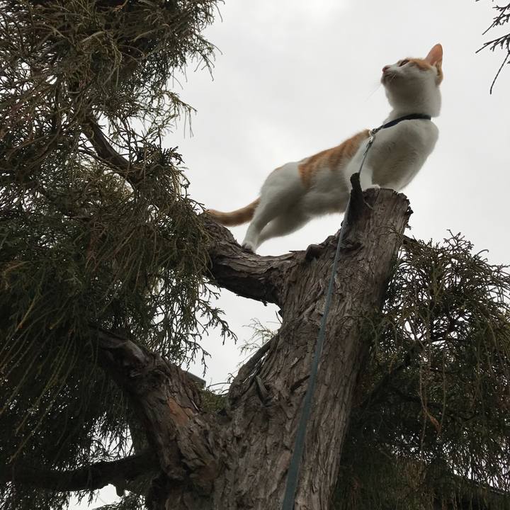 23d13c08 a087 4148 81dc 41c203d82991